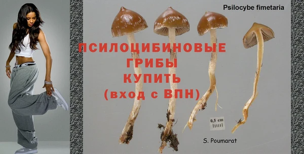 дурь Лагань