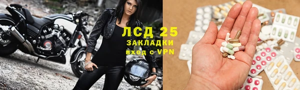 СК Елизово