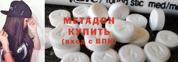 мдпв Ельня