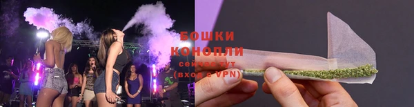 PSILOCYBIN Елабуга