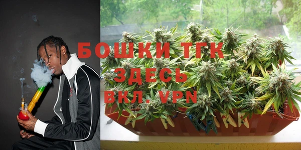СК Елизово