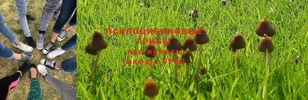 кокаин колумбия Лиски