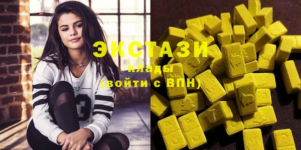 мдпв Ельня