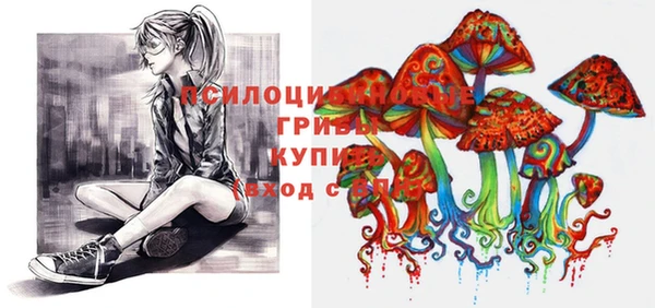 прущий лед Лабытнанги