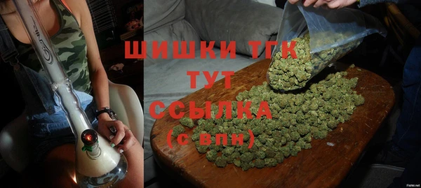 дурь Лагань