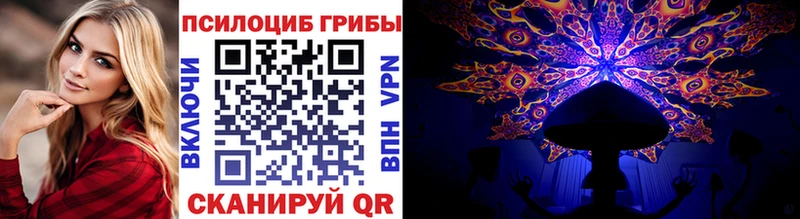 нарко площадка формула  omg ТОР  Жиздра  Галлюциногенные грибы мицелий 
